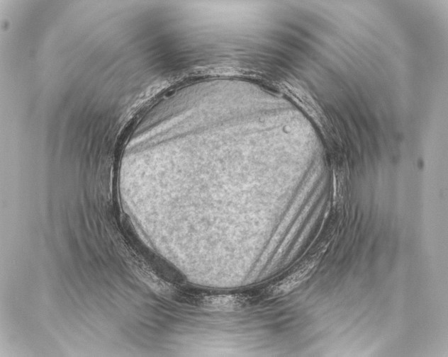 X0000086980301200705141722