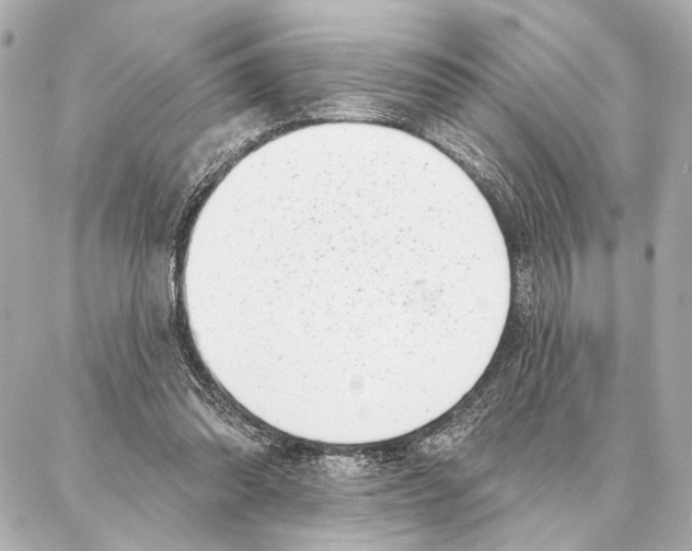 X0000086980302200705141722