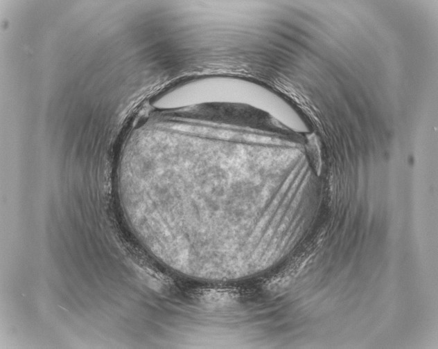 X0000086980303200705141722