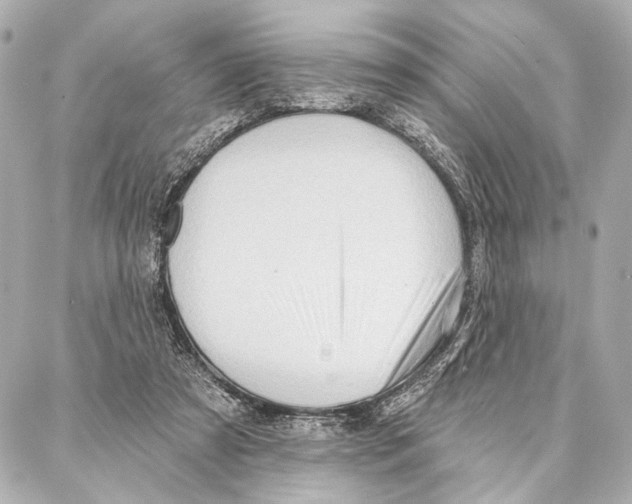 X0000086980305200705141722