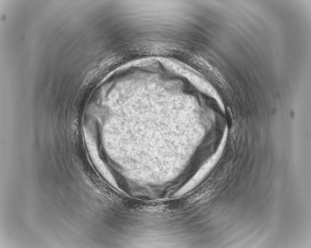 X0000086980306200705141722