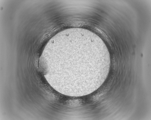 X0000086980307200705141722