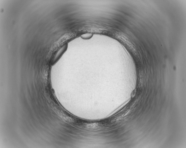 X0000086980309200705141722