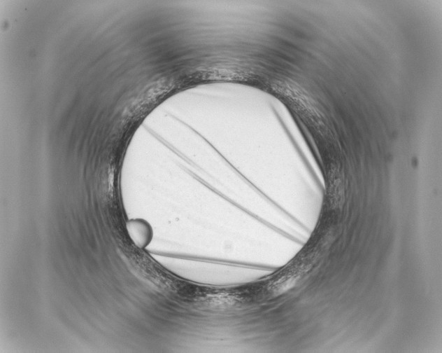 X0000086980310200705141722