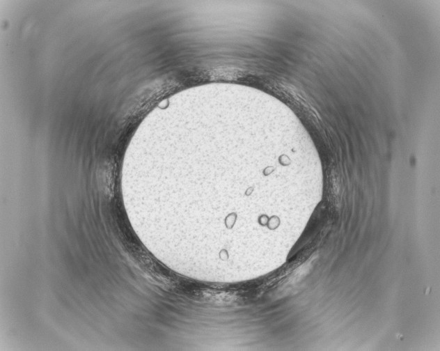 X0000086980311200705141722