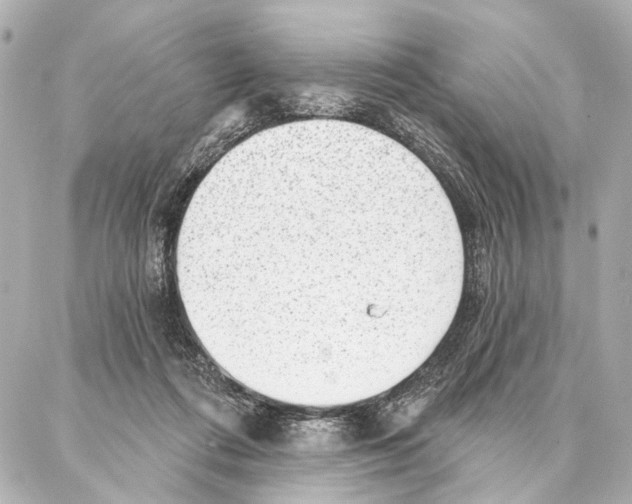 X0000086980312200705141722