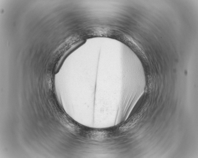 X0000086980313200705141722