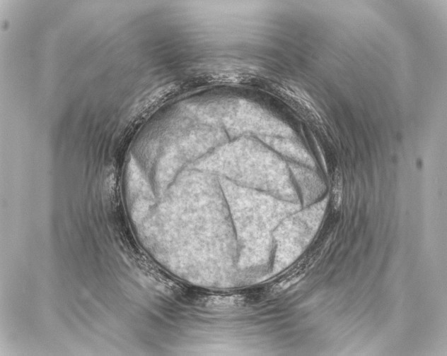 X0000086980314200705141722