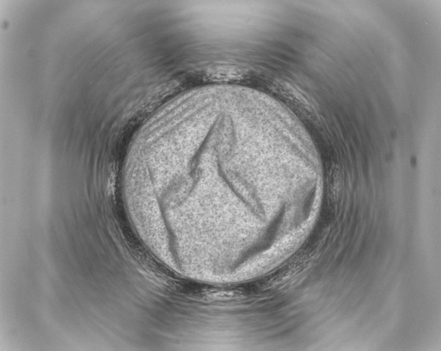 X0000086980315200705141722