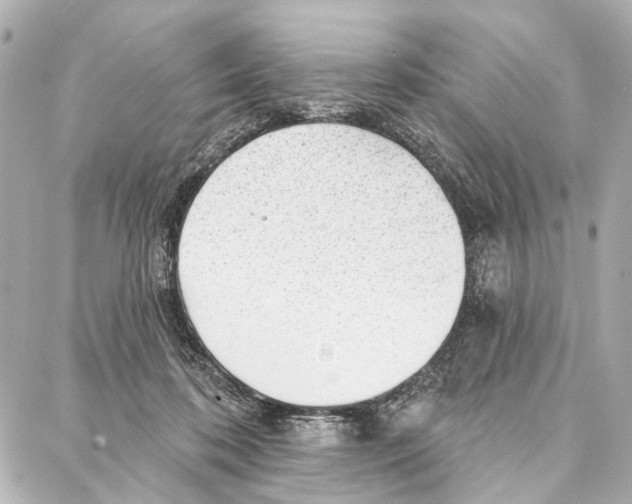 X0000086980316200705141722