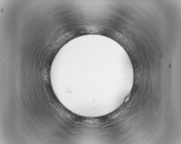 X0000086980317200705141722