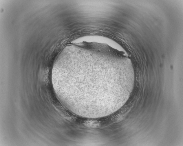 X0000086980319200705141722