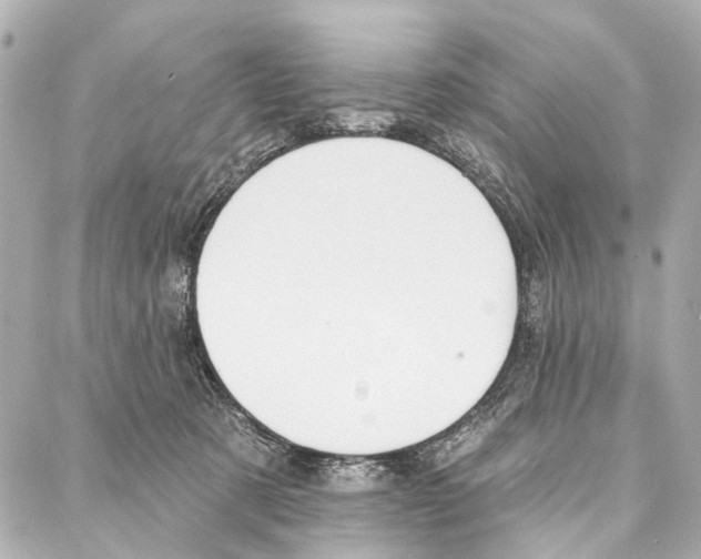 X0000086980321200705141722