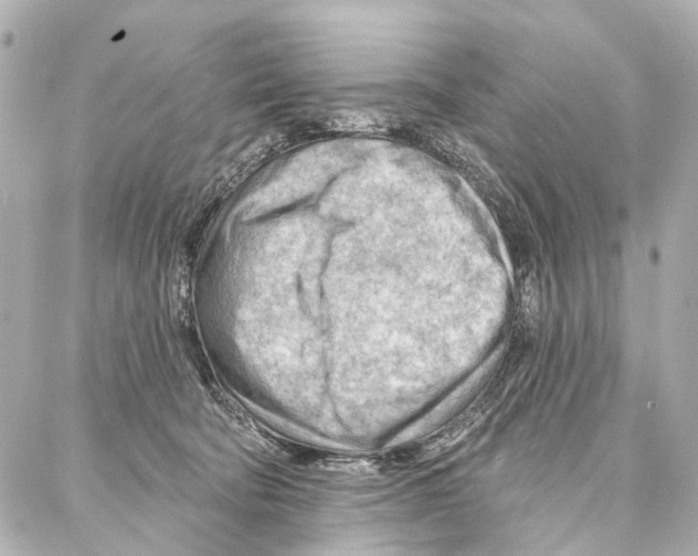 X0000086980322200705141722