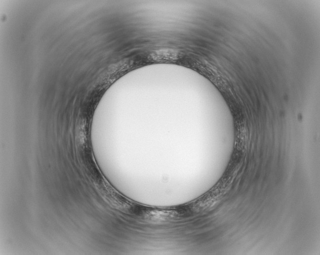 X0000086980323200705141722