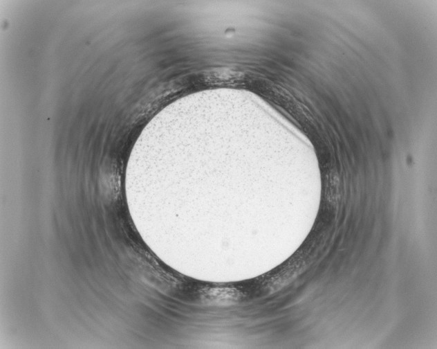 X0000086980324200705141722