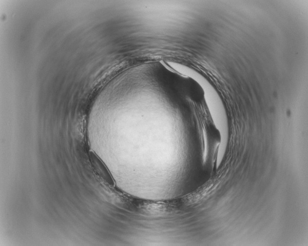 X0000086980325200705141722