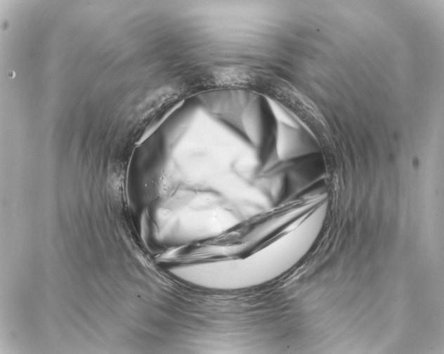 X0000086980329200705141722