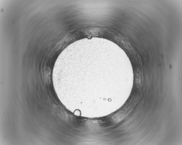 X0000086980332200705141722