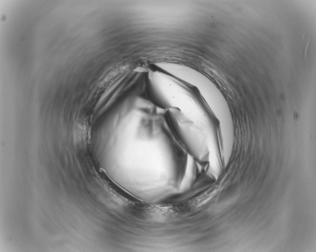 X0000086980333200705141722