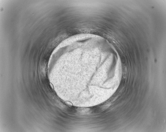 X0000086980334200705141722