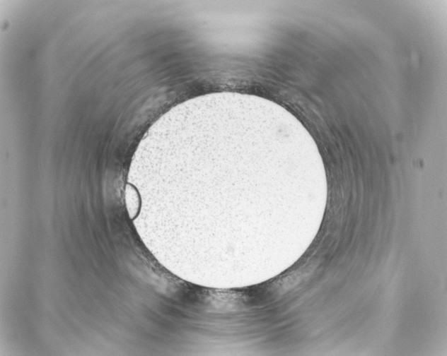 X0000086980336200705141722