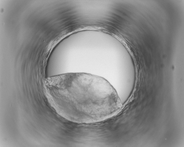 X0000086980337200705141721