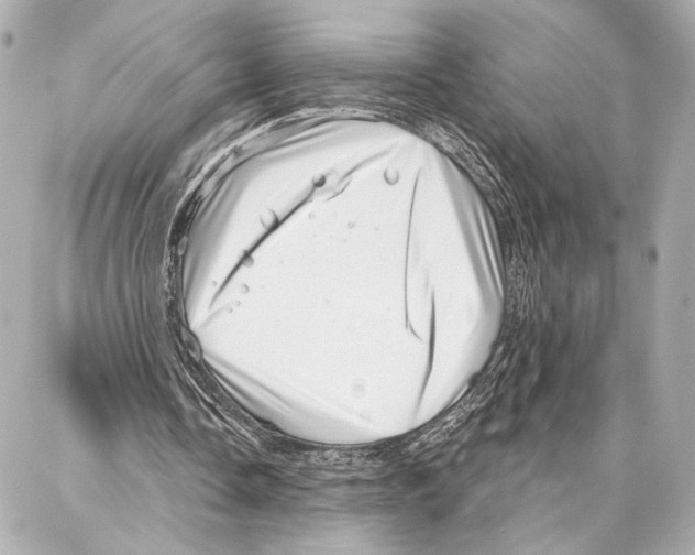 X0000086980338200705141721