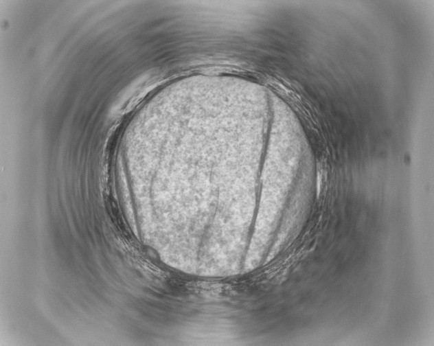 X0000086980339200705141721