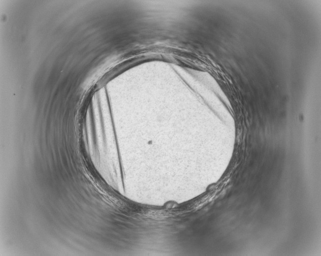 X0000086980341200705141721