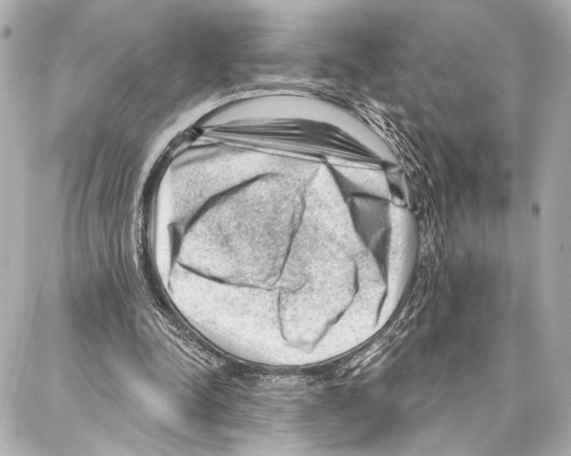 X0000086980342200705141721