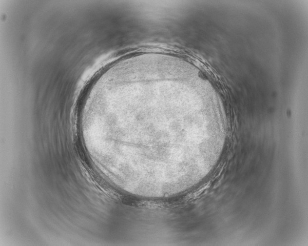 X0000086980343200705141721