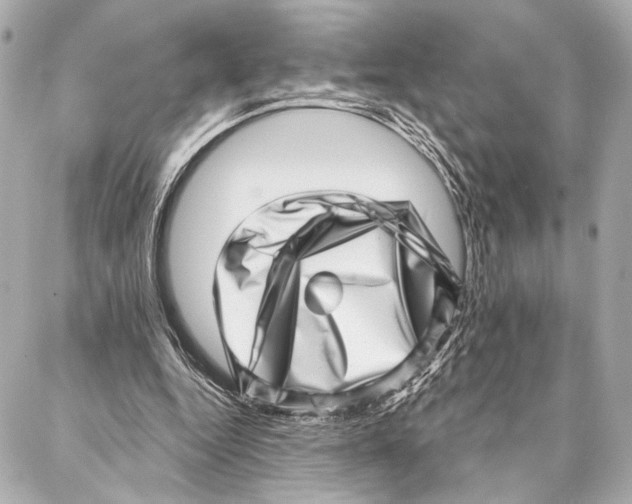 X0000086980344200705141721