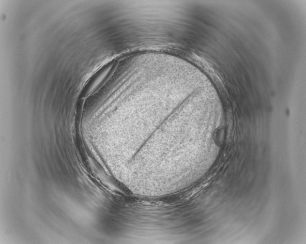 X0000086980346200705141721