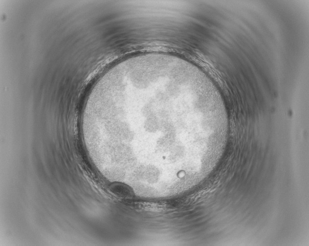 X0000086980347200705141721