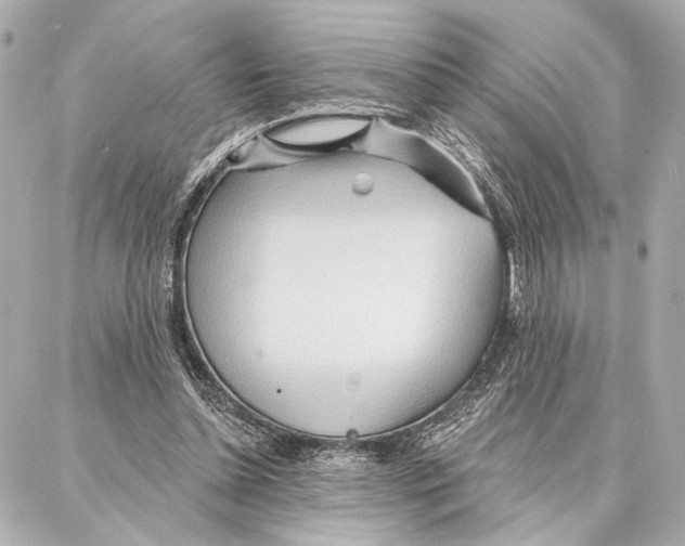 X0000086980348200705141721