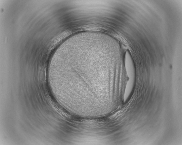 X0000086980349200705141721