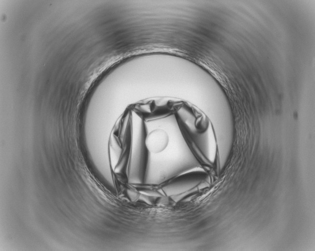 X0000086980350200705141721