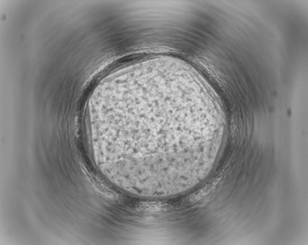 X0000086980351200705141721