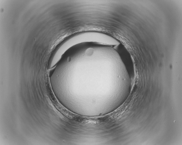 X0000086980352200705141721