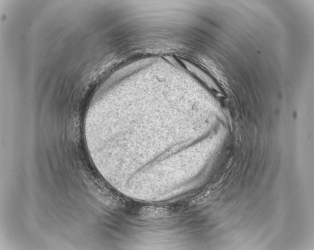 X0000086980354200705141721