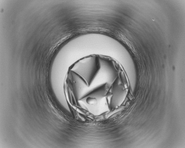 X0000086980356200705141721