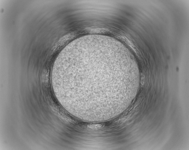 X0000086980357200705141721