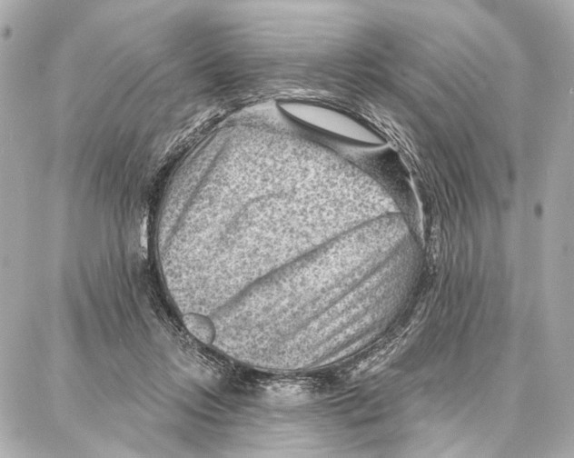 X0000086980358200705141721