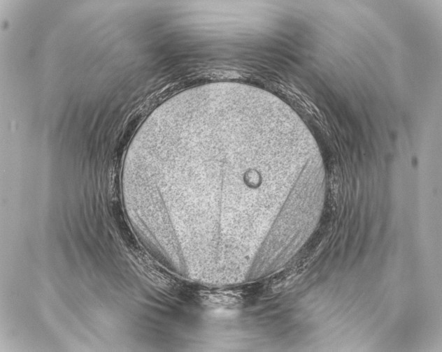 X0000086980359200705141721