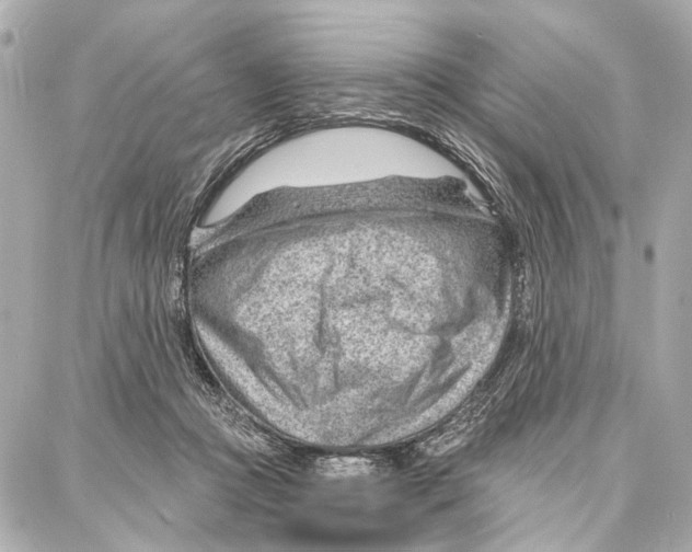 X0000086980361200705141722