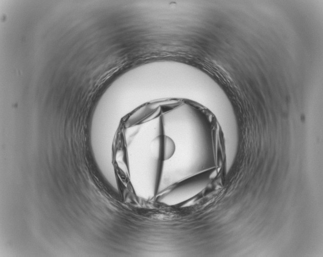 X0000086980364200705141722