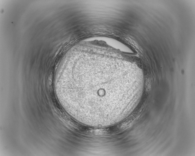 X0000086980365200705141722