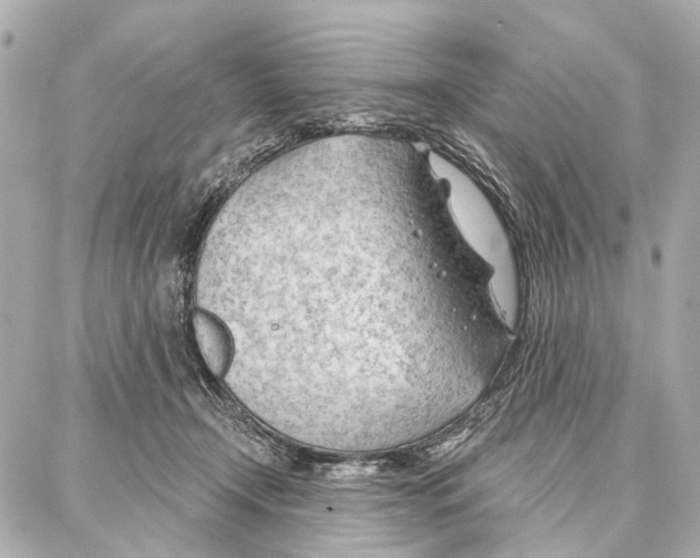 X0000086980366200705141722