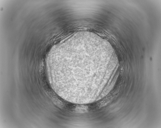 X0000086980369200705141722